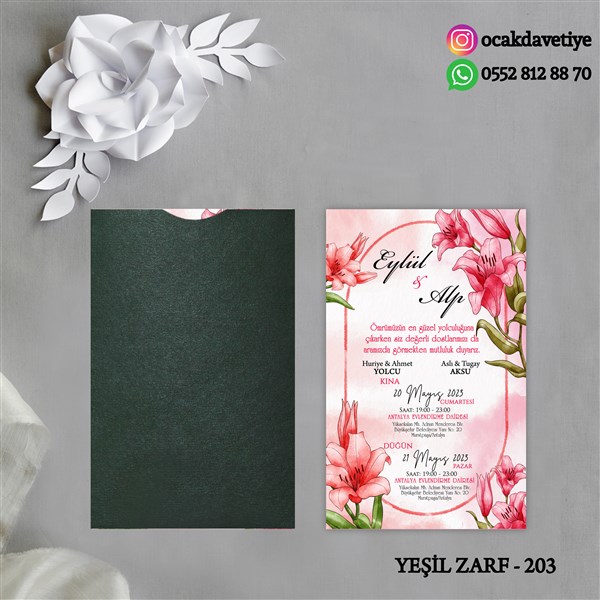 yz203 copy